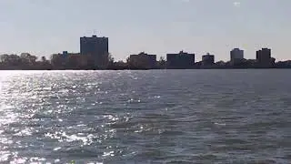 New Detroit Park