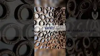 SNAK ALL SIZE OIL SEAL