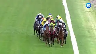 2022 Melbourne Cup winner Gold Trip