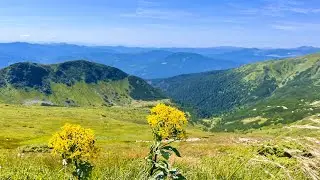 Підйом на Шпиці. Ребра. Гутин Томнатик. Озеро Бребенескул. 8.08.2025