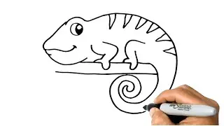 How to DRAW a CHAMELEON Easy Step by Step Drawing Animals