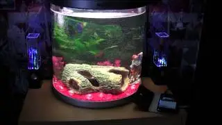 B&M Water Beat Speakers - Harlem Shake -  &pound;14.99