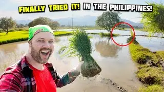 Motorcycle Road Trip Vlog Leads To Special Filipino Food!
