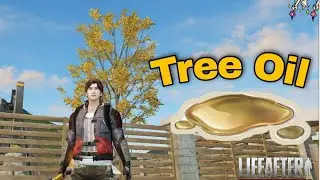 Life After: Easy Tips to get Tree Oil