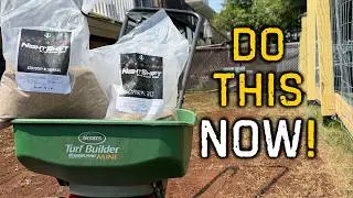I’m Fixing My Backyard Lawn, One Last Time...