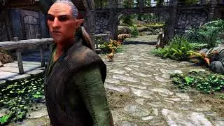 NPCs React To Custom Races Skyrim Mod Showcase