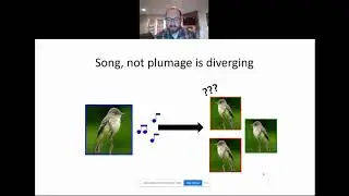 Sean Mahoney on geographic variation in song structure and plumage coloration in Willow Flycatchers