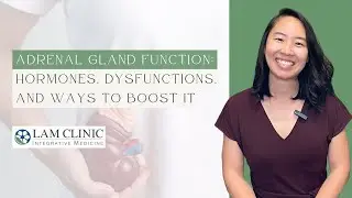 Adrenal Gland Function: Hormones, Dysfunctions, and Ways to Boost It