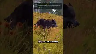 More QOL improvements coming to Rust!