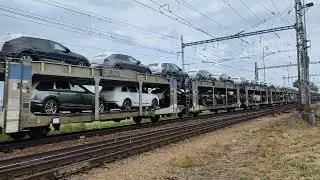 amina 230 029-1 ČD Cargo s auť&aacute;ky proj&iacute;žd&iacute; přes Podiv&iacute;n směr Brno.21.5.2024