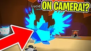 HE HATCHED THE SHINY LUCID LEAF IN 5 MINUTES!! 🎃HALLOWEEN EVENT!🎃 - BUBBLE GUM SIMULATOR