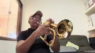 🎺🎶Nothing&rsquo;s Gonna Change My Love For You 🎶🎺