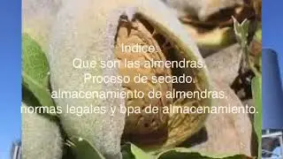 Secado de almendras