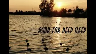 Gentle Whispering and Soft Tapping for Relaxatio