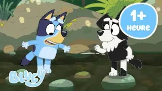 🔴VIVRE: Meilleurs amis | Bluey Français Chaîne Officielle