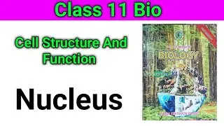 Nucleus || Cell Structure And Function || 1st year bio Chapter 3 || New book