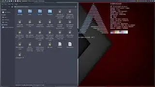 ArcoLinux : 890 Installing the Personal folder on ArcoLinuxD Qtile
