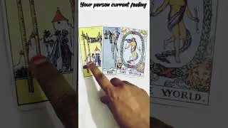 your person current feeling #tamiltarotreading #tarot #nocontactreading #currentfeelingsofyourperson
