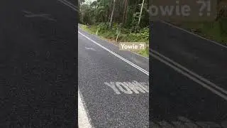 Yowie&rsquo;s Cross Here #shorts #australia #yowie #bigfoot #shortvideo