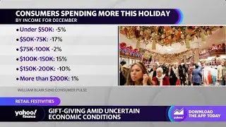 Consumers &lsquo;appear a little bit more fragile&rsquo; going into the holidays: Analyst