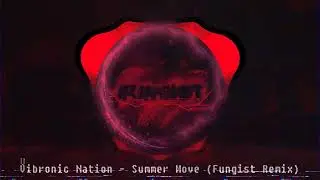Vibronic Nation - Summer Move (Fungist Remix)