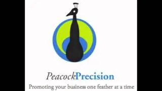 Peacock Precision Interview with Coog Radio