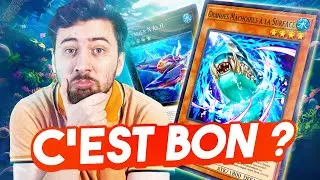 Cette carte CHANGE TOUT pour le deck Requin ?