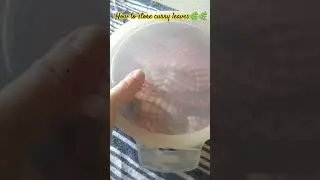 How to store Curry leaves 🌿🌿 #curry #shorts