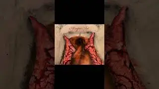 AtropaArt - Self-Titled LP. 