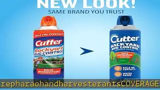 Cutter Backyard Bug Control Outdoor Fogger (12 Pack), Kills Mosquitoes, Fleas & Listed Ants, 16 fl