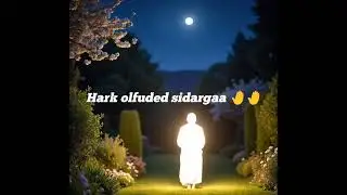 Barich ilania lila lila wedding song orma 2025