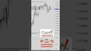 #Forex #Forextrading #cypexfx #copytrading #puprime #investment