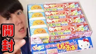 ぷっちょ全８種＋シークレット１BOX開封！ぴょこのるサンリオ　さとちん