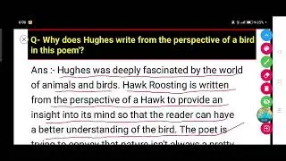 Why does Hughes write from the perspective of a bird in this poem'?