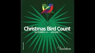 Bird Chat: Area Christmas Bird Counts
