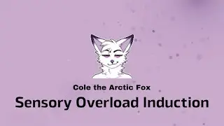Sensory Overload Induction