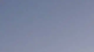Golden Plover calling, Axe Cliff - 29/8/24