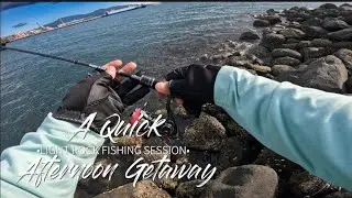 Mebaru Session | Catch Photo Release | E7l