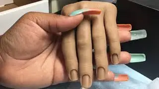 Red Iguana Hand Unboxing