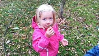 Pilze suchen mit Kindern + kochen und essen = lecker und viel Spa&szlig;!