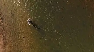 FLY FISHING | The Art of Angling