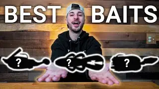 My TOP 3 Best Bass Baits (2020-2021)