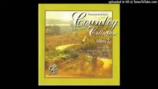 CD COUNTRY COLLECTION VOL 2 PARADOXX MUSIC 1997
