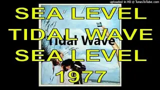 Sea Level - Tidal Wave - Sea Level - 1977 - Leavell | Williams | Jaimoe | Nalls