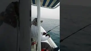 Angler Shaheen catch GT#Rabeeb#Qatarfish#QatarSea#QatarAnglers