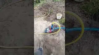 ВСЕВОЛОЖСКИЙ ГЛИНОМЕС