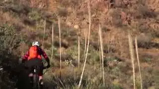 Hiking, Biking, Running - El Paso Up in Our Great Outdoors!