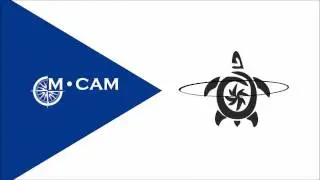 M&middot;CAM International -  Trust Structure vs. Corporate Structure
