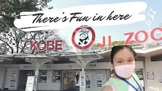 What To See In Kobe Japan. 👉 Kobe Things To See And Do- Kobe Oji Zoo Video