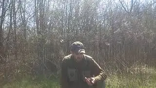 Pirmos fácán síp / primos pheasant call